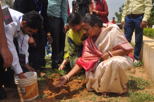 Tree Plantation Programme at Campus